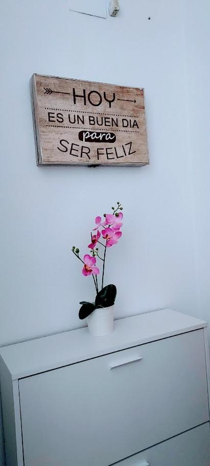 Apartamento Viena VI Benidorm Zewnętrze zdjęcie